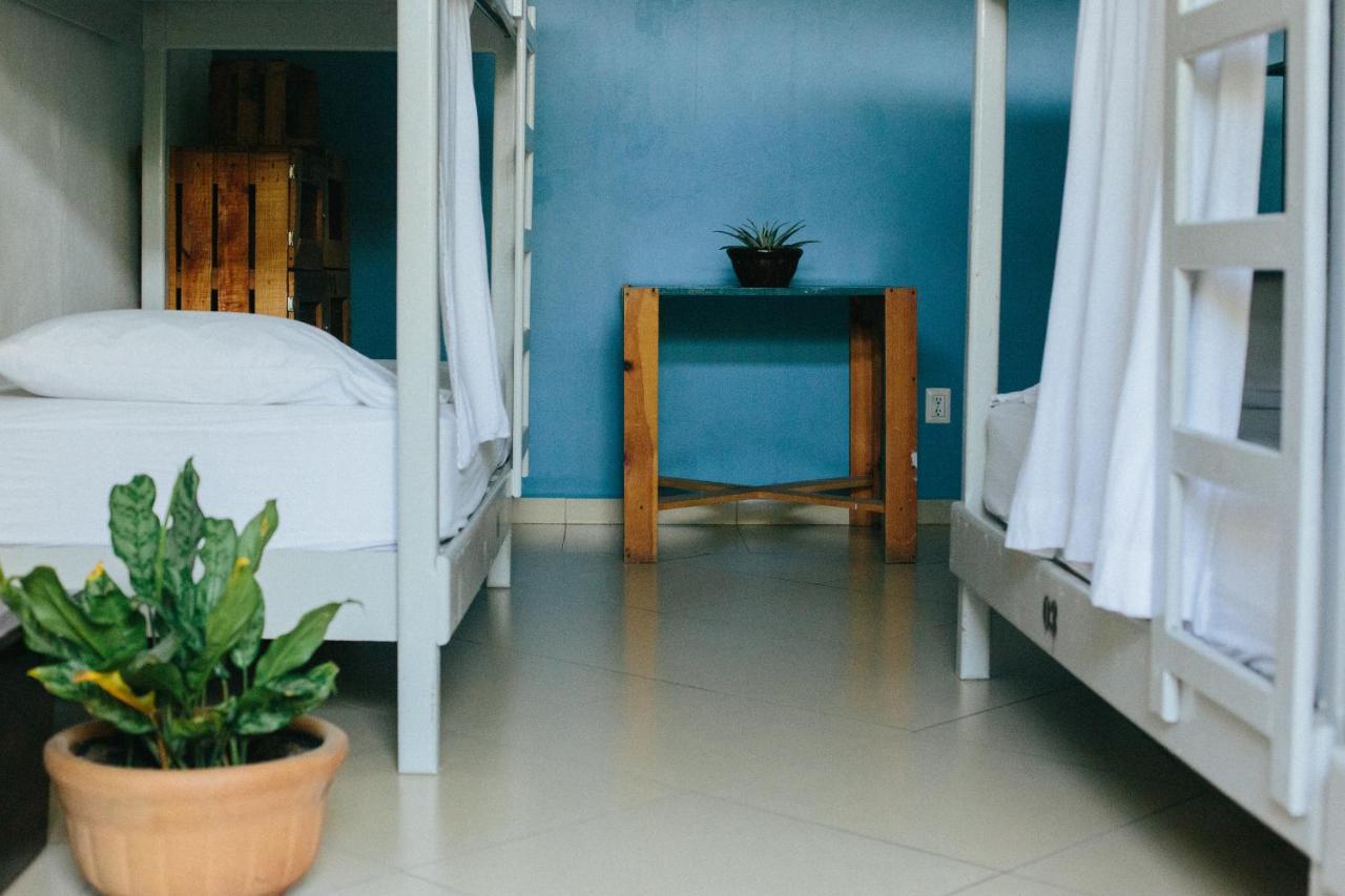 Puerto Dreams H Hostel Puerto Escondido  Kültér fotó