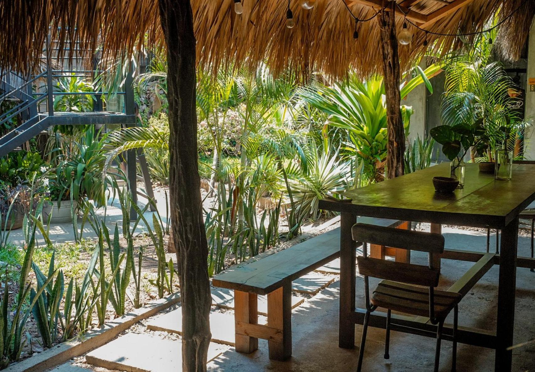 Puerto Dreams H Hostel Puerto Escondido  Kültér fotó